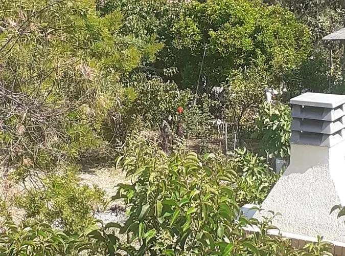 Small For 2 With View